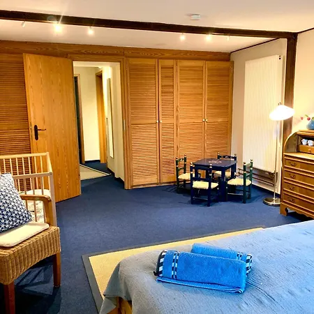 Reetdachkate Muellerhaus Von 1860 Thalingburen