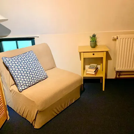 Reetdachkate Muellerhaus Von 1860 Thalingburen