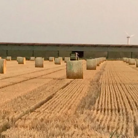 Prázdninový dům Reetdachkate Muellerhaus Von 1860