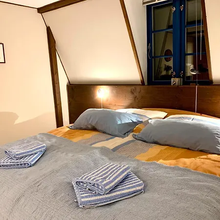 Reetdachkate Muellerhaus Von 1860 Prázdninový dům Thalingburen