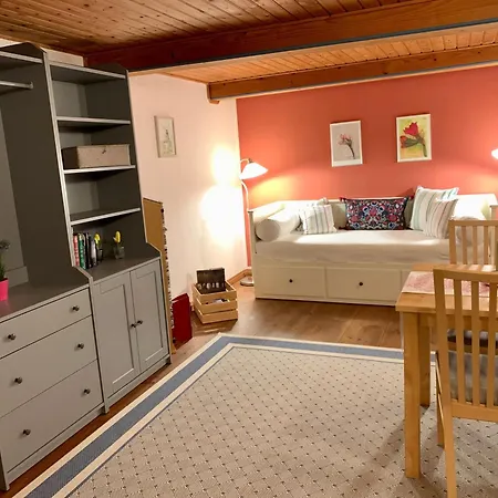 Reetdachkate Muellerhaus Von 1860 Vakantiehuis Thalingburen