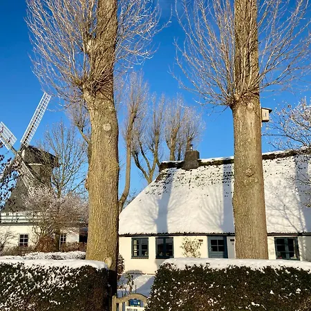 Vakantiehuis Reetdachkate Muellerhaus Von 1860 Thalingburen
