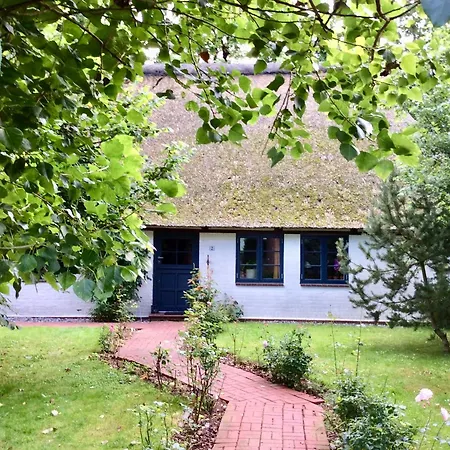 Reetdachkate Muellerhaus Von 1860 Thalingburen
