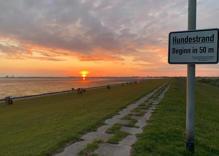 Reetdachkate Muellerhaus Von 1860 * Thalingburen