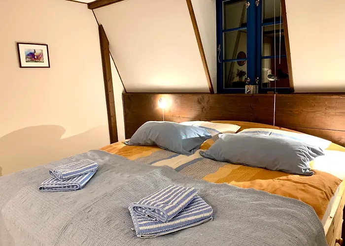 Reetdachkate Muellerhaus Von 1860 Casa de Férias Thalingburen